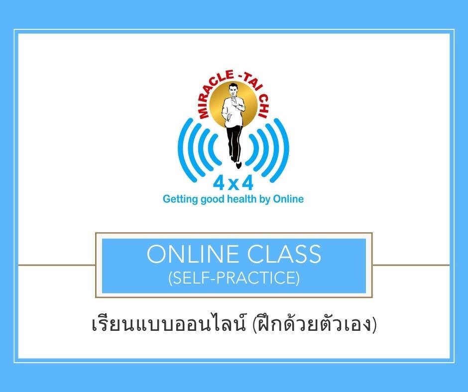 เรียนแบบออนไลน์ (ฝึกด้วยตนเอง)