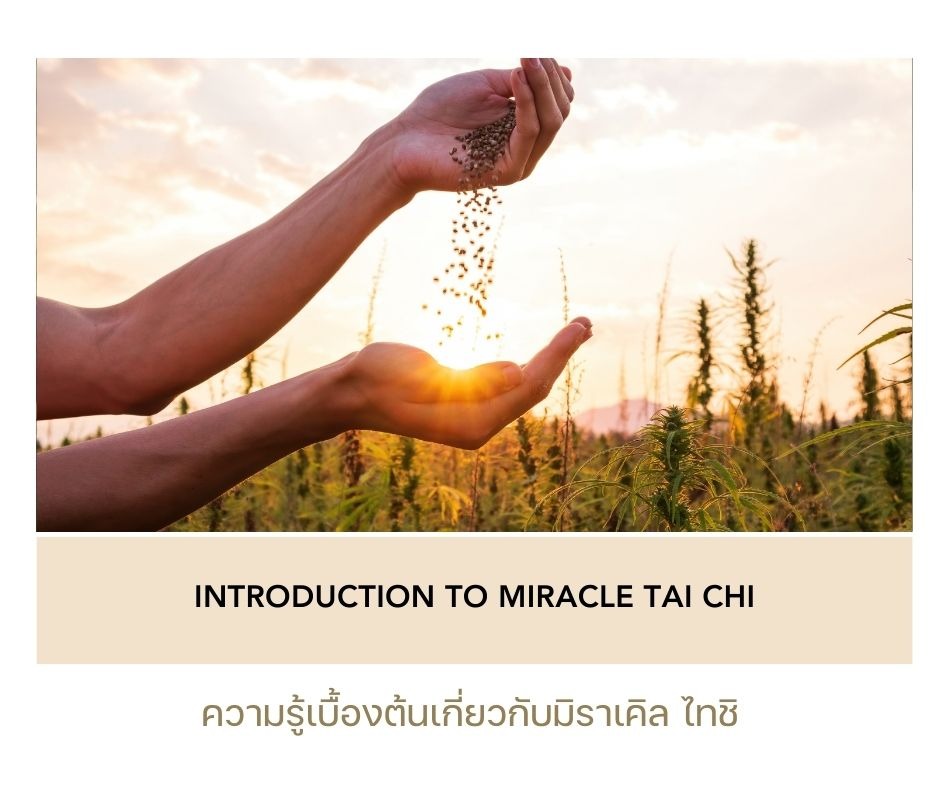 Introduction to Miracle Tai Chi®
