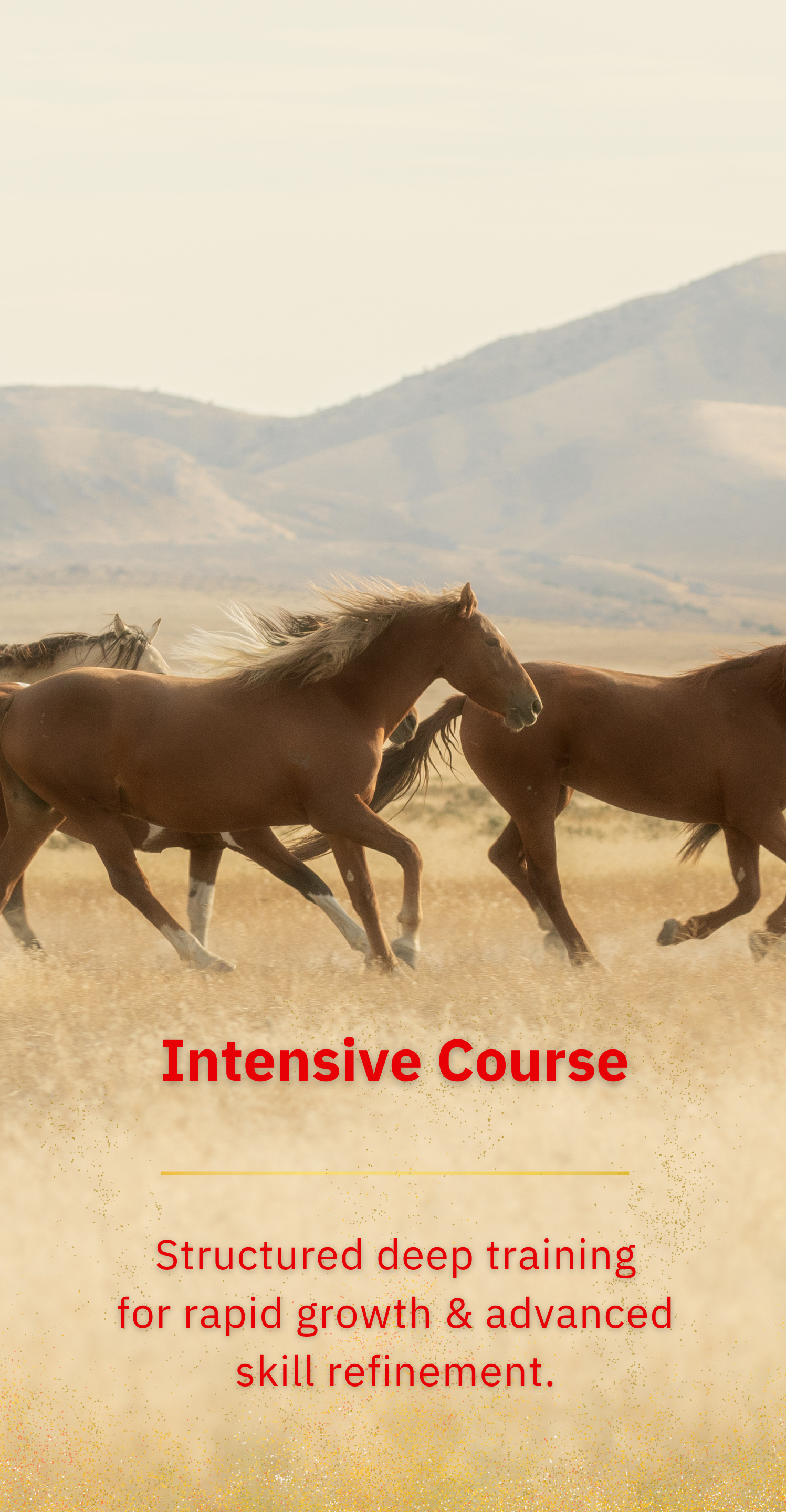 หลักสูตรเร่งรัด (Intensive Course)